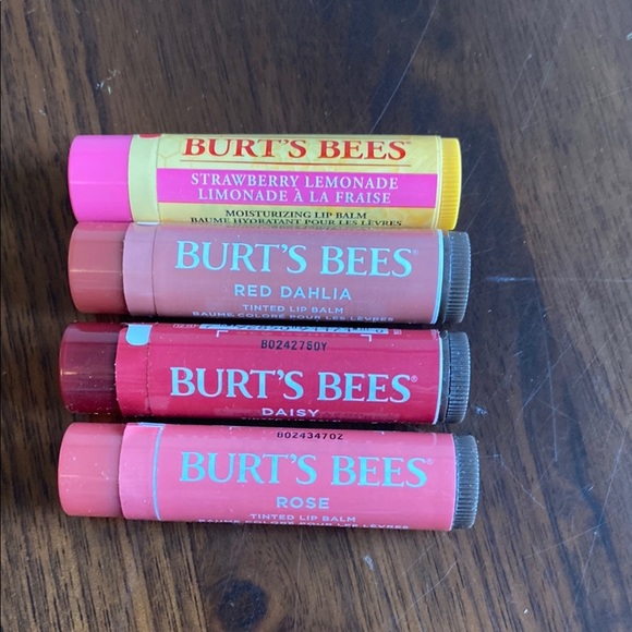 Burt's Bees Other - Burt's Bees - Lip Balm Set of 4 - new!